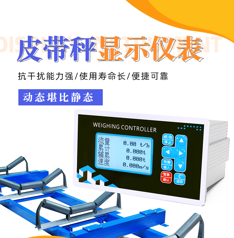 PDC6000皮带秤